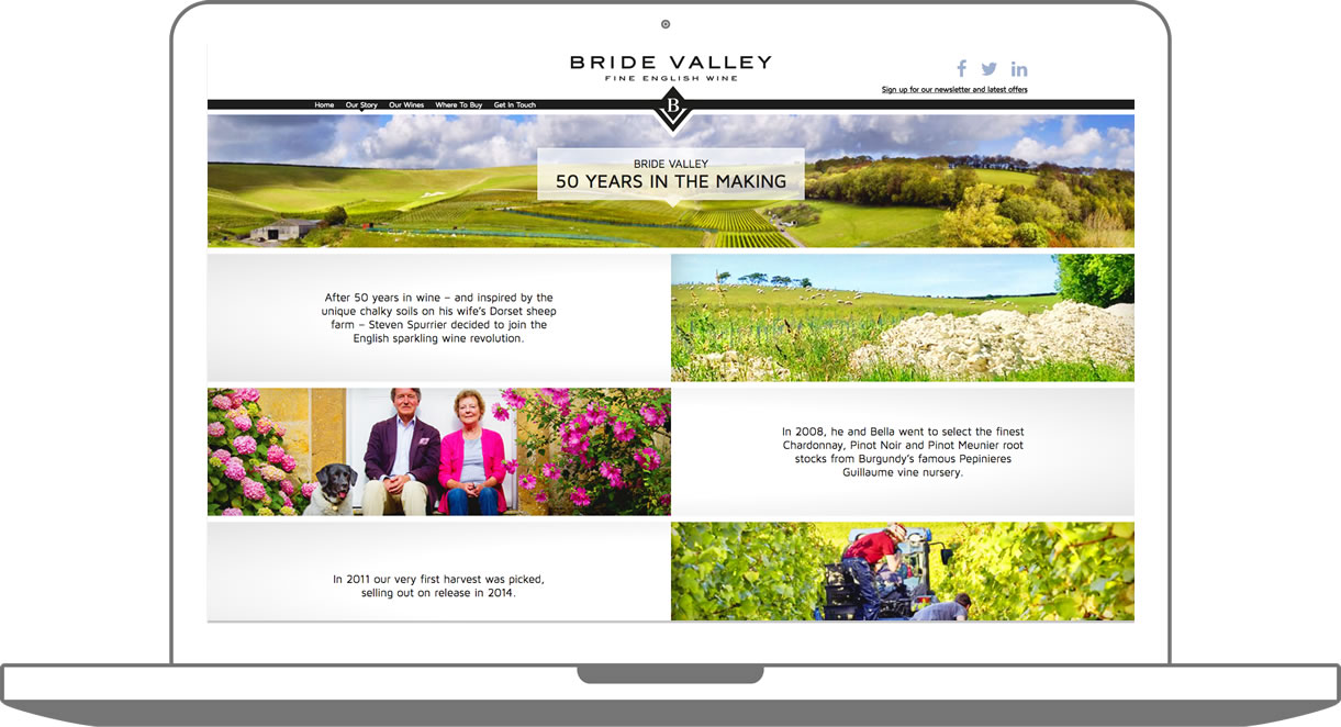 Custom WordPress build Bridevalley Vineyard